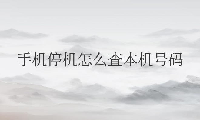 苹果手机停机怎么查本机号码