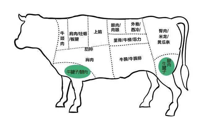 牛身上哪个部位的肉最贵最好吃