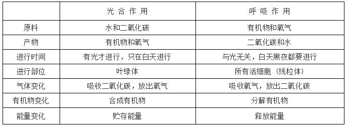 植物呼吸作用释放什么气体？和光合作用的区别？